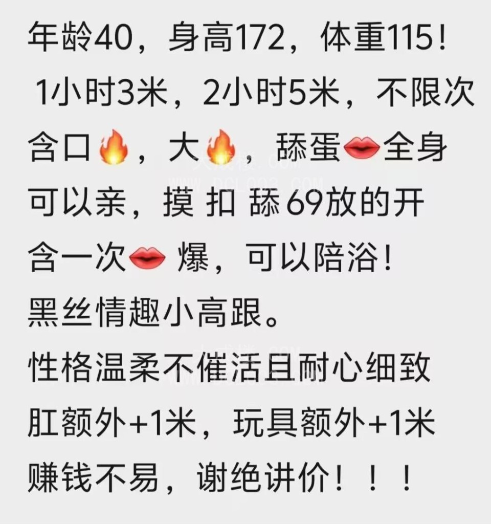 长春宽城小野猫