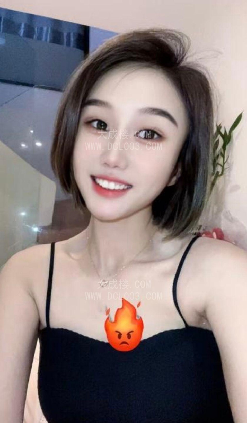 包河万达乐乐