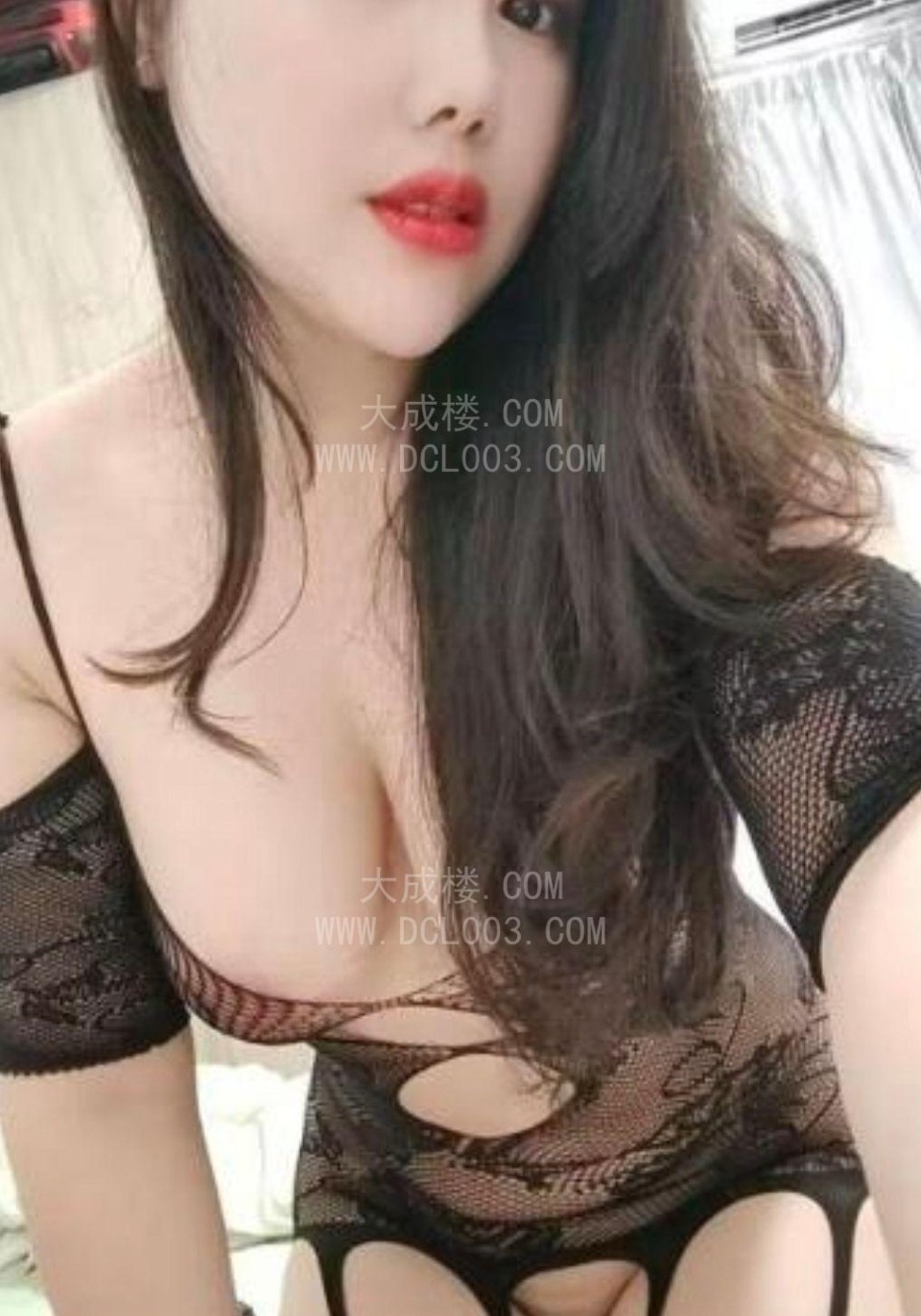 服务一流骚狐狸