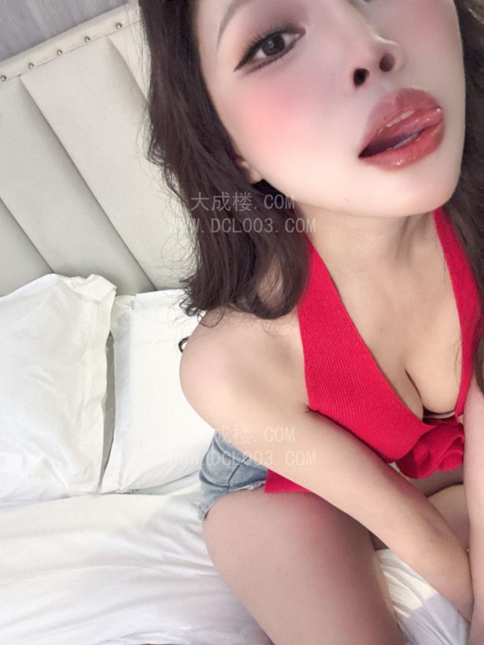成都郫都斯悦