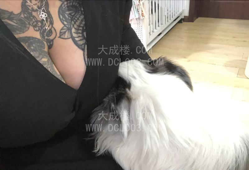 青岛即墨纹身小坦克